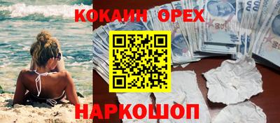 шишки Новозыбков