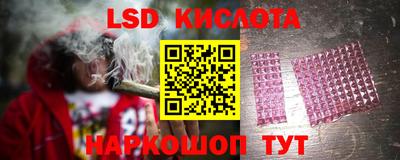 шишки Новозыбков