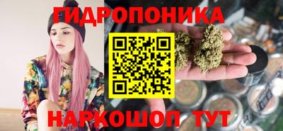 шишки Новозыбков