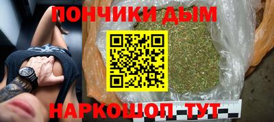 шишки Новозыбков