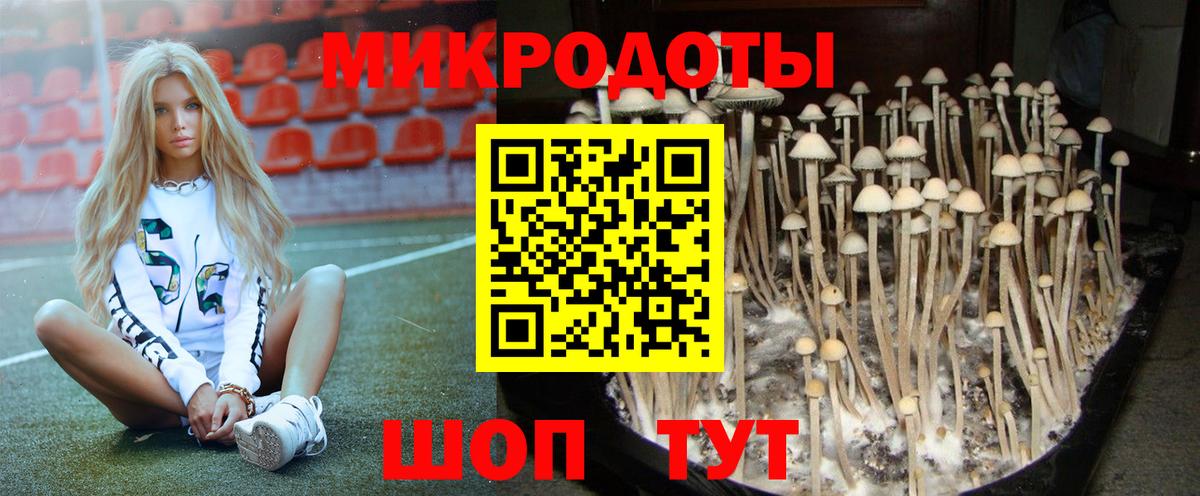 наркотики  Вход с VPN  Уссурийск  Псилоцибиновые грибы GOLDEN TEACHER 